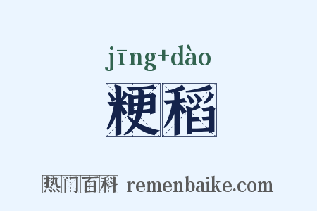 粳稻是什么意思的图片